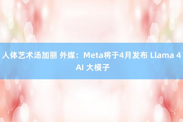 人体艺术汤加丽 外媒：Meta将于4月发布 Llama 4 AI 大模子