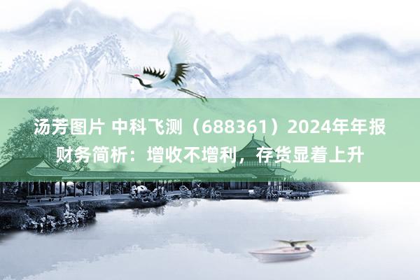 汤芳图片 中科飞测（688361）2024年年报财务简析：增收不增利，存货显着上升