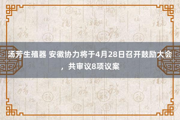 汤芳生殖器 安徽协力将于4月28日召开鼓励大会，共审议8项议案