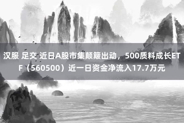 汉服 足交 近日A股市集颠簸出动，500质料成长ETF（560500）近一日资金净流入17.7万元