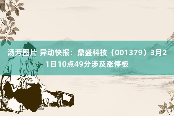 汤芳图片 异动快报：鼎盛科技（001379）3月21日10点49分涉及涨停板