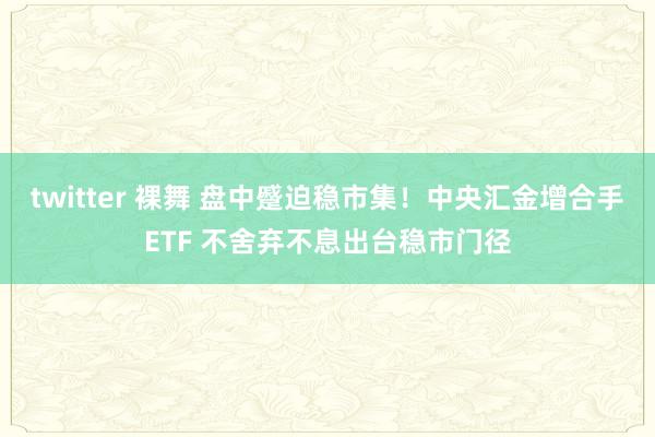 twitter 裸舞 盘中蹙迫稳市集！中央汇金增合手ETF 不舍弃不息出台稳市门径