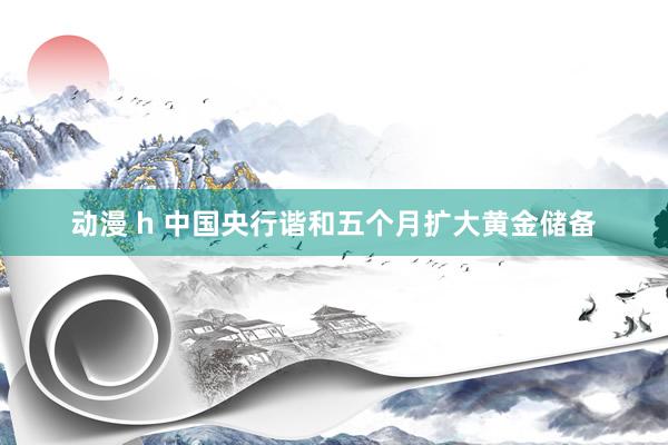 动漫 h 中国央行谐和五个月扩大黄金储备