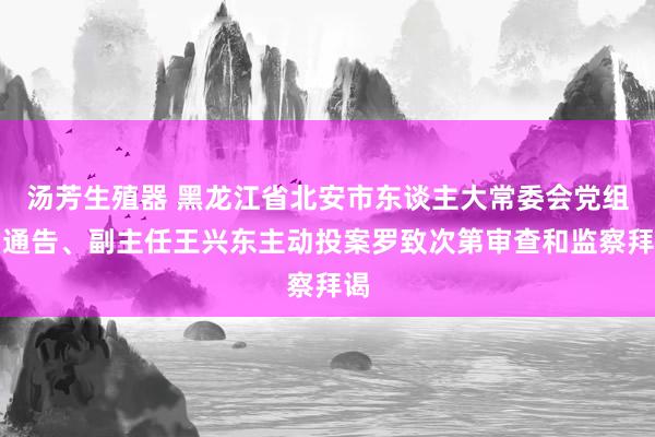 汤芳生殖器 黑龙江省北安市东谈主大常委会党组副通告、副主任王兴东主动投案罗致次第审查和监察拜谒