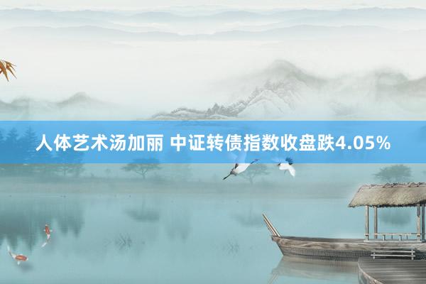 人体艺术汤加丽 中证转债指数收盘跌4.05%