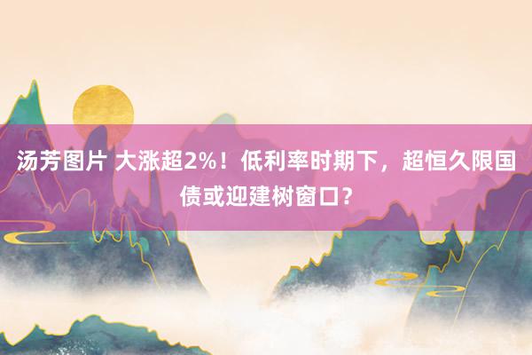 汤芳图片 大涨超2%！低利率时期下，超恒久限国债或迎建树窗口？