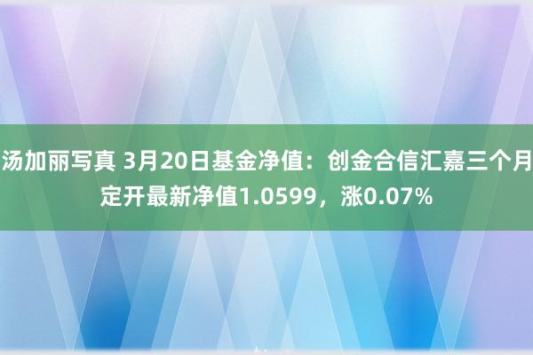 汤加丽写真 3月20日基金净值：创金合信汇嘉三个月定开最新净值1.0599，涨0.07%