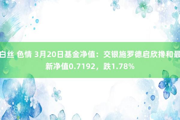 白丝 色情 3月20日基金净值：交银施罗德启欣搀和最新净值0.7192，跌1.78%