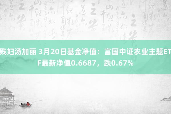 贱妇汤加丽 3月20日基金净值：富国中证农业主题ETF最新净值0.6687，跌0.67%