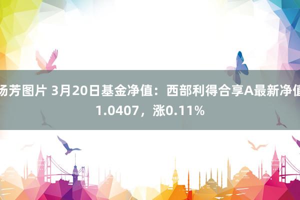 汤芳图片 3月20日基金净值：西部利得合享A最新净值1.0407，涨0.11%