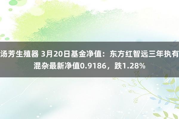 汤芳生殖器 3月20日基金净值：东方红智远三年执有混杂最新净值0.9186，跌1.28%