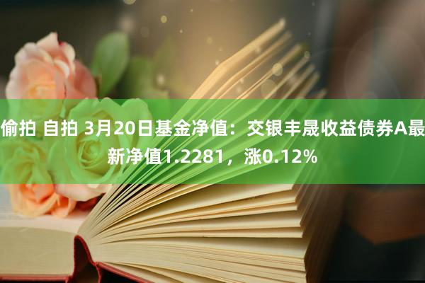 偷拍 自拍 3月20日基金净值：交银丰晟收益债券A最新净值1.2281，涨0.12%