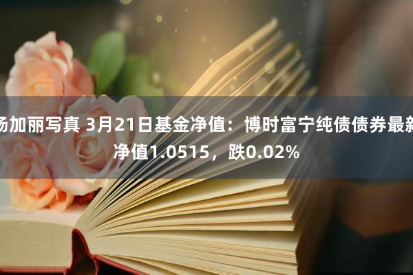 汤加丽写真 3月21日基金净值：博时富宁纯债债券最新净值1.0515，跌0.02%