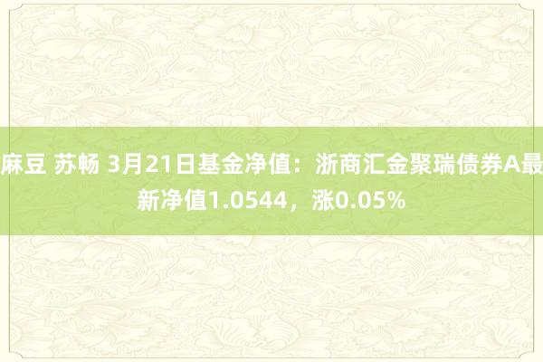 麻豆 苏畅 3月21日基金净值：浙商汇金聚瑞债券A最新净值1.0544，涨0.05%