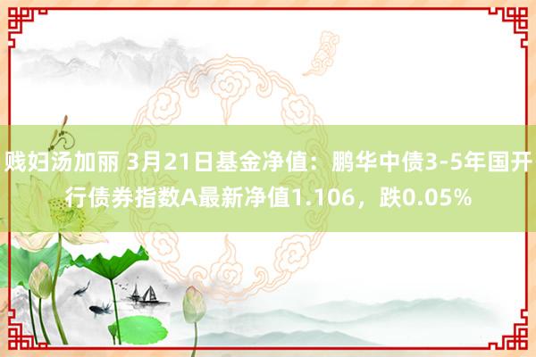 贱妇汤加丽 3月21日基金净值：鹏华中债3-5年国开行债券指数A最新净值1.106，跌0.05%