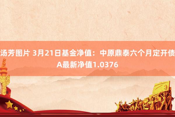 汤芳图片 3月21日基金净值：中原鼎泰六个月定开债A最新净值1.0376