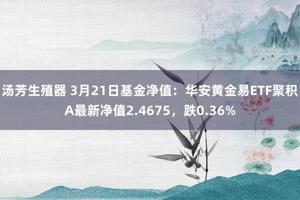 汤芳生殖器 3月21日基金净值：华安黄金易ETF聚积A最新净值2.4675，跌0.36%
