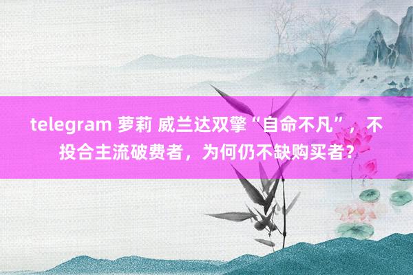telegram 萝莉 威兰达双擎“自命不凡”，不投合主流破费者，为何仍不缺购买者？