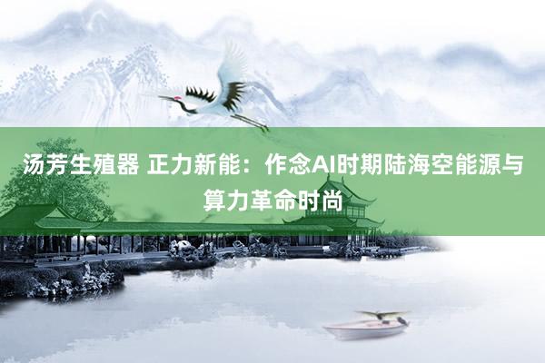 汤芳生殖器 正力新能：作念AI时期陆海空能源与算力革命时尚