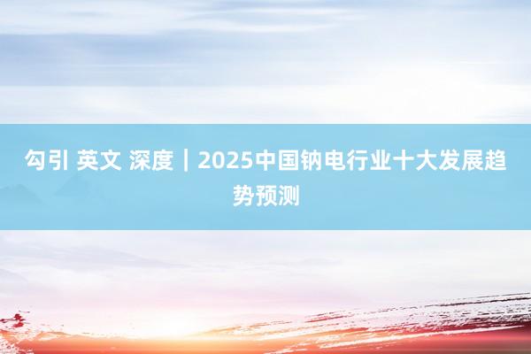 勾引 英文 深度｜2025中国钠电行业十大发展趋势预测