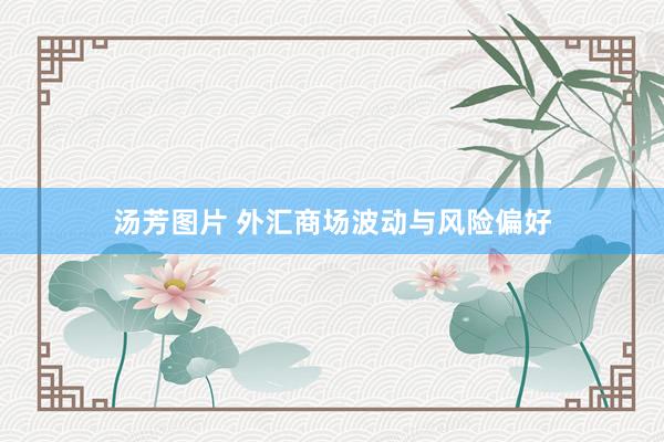 汤芳图片 外汇商场波动与风险偏好