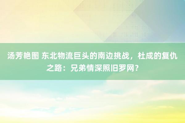 汤芳艳图 东北物流巨头的南边挑战，杜成的复仇之路：兄弟情深照旧罗网？