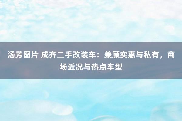 汤芳图片 成齐二手改装车：兼顾实惠与私有，商场近况与热点车型