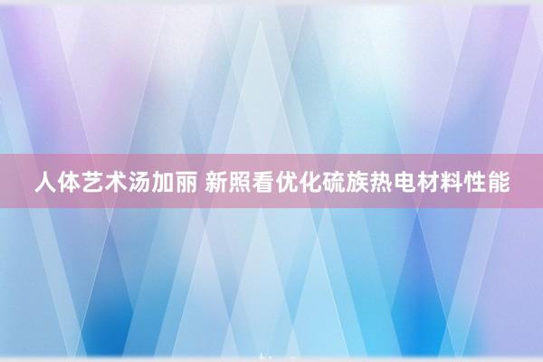 人体艺术汤加丽 新照看优化硫族热电材料性能