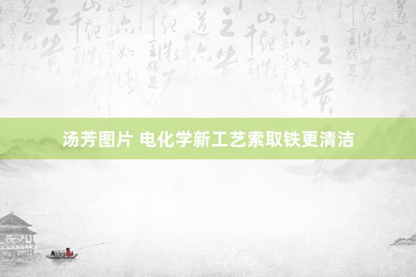 汤芳图片 电化学新工艺索取铁更清洁