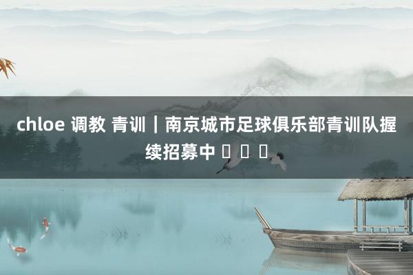 chloe 调教 青训｜南京城市足球俱乐部青训队握续招募中 ​​​