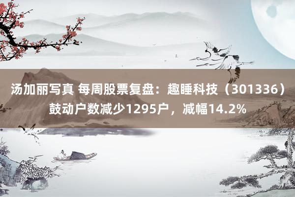 汤加丽写真 每周股票复盘：趣睡科技（301336）鼓动户数减少1295户，减幅14.2%