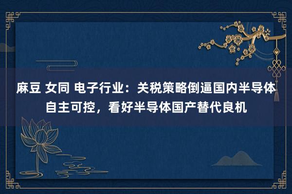 麻豆 女同 电子行业:关税策略倒逼国内半导体自主可控,看好半导体国产替代良机