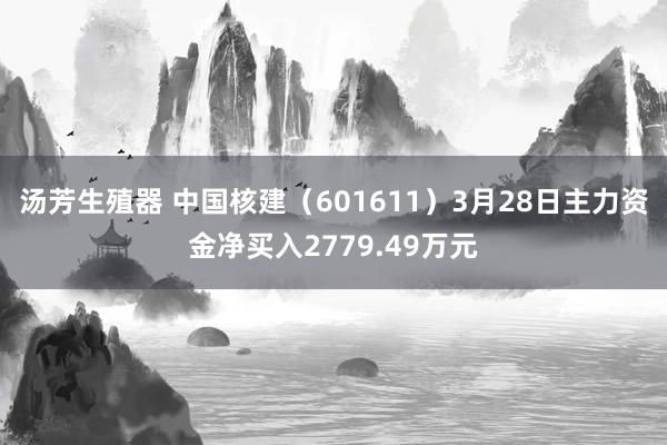 汤芳生殖器 中国核建（601611）3月28日主力资金净买入2779.49万元