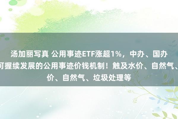 汤加丽写真 公用事迹ETF涨超1%，中办、国办：健全促进可握续发展的公用事迹价钱机制！触及水价、自然气、垃圾处理等