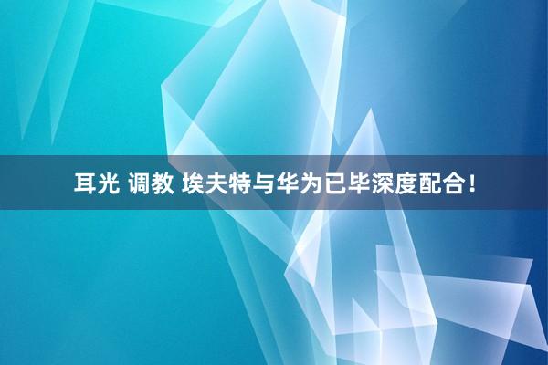 耳光 调教 埃夫特与华为已毕深度配合！