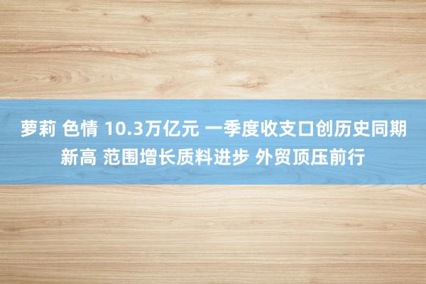 萝莉 色情 10.3万亿元 一季度收支口创历史同期新高 范围增长质料进步 外贸顶压前行