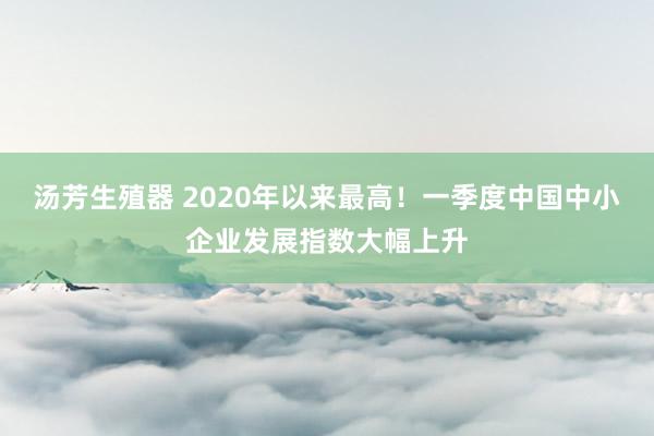 汤芳生殖器 2020年以来最高！一季度中国中小企业发展指数大幅上升