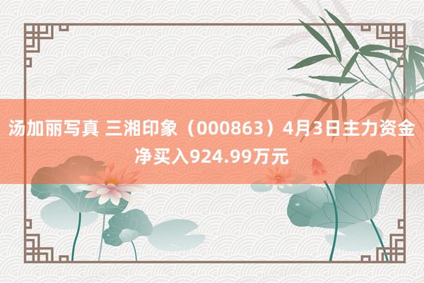 汤加丽写真 三湘印象（000863）4月3日主力资金净买入924.99万元