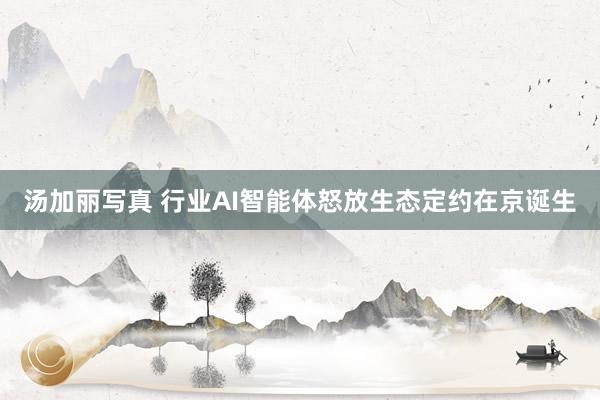 汤加丽写真 行业AI智能体怒放生态定约在京诞生