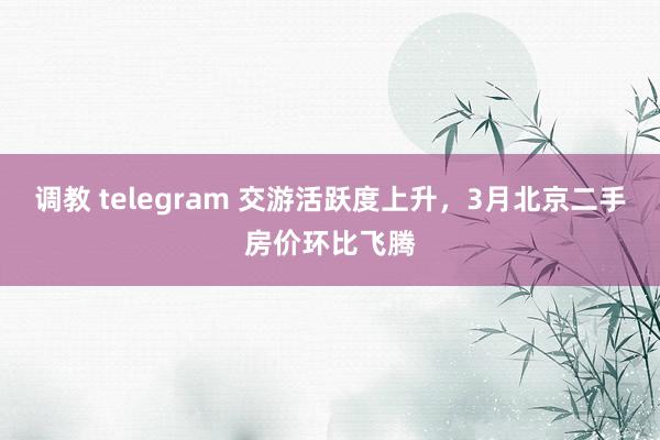 调教 telegram 交游活跃度上升，3月北京二手房价环比飞腾