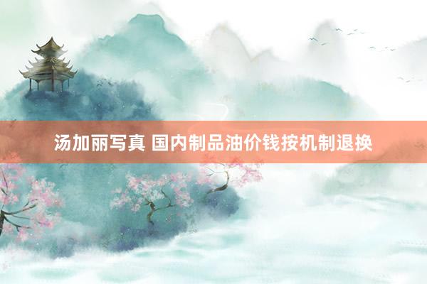 汤加丽写真 国内制品油价钱按机制退换