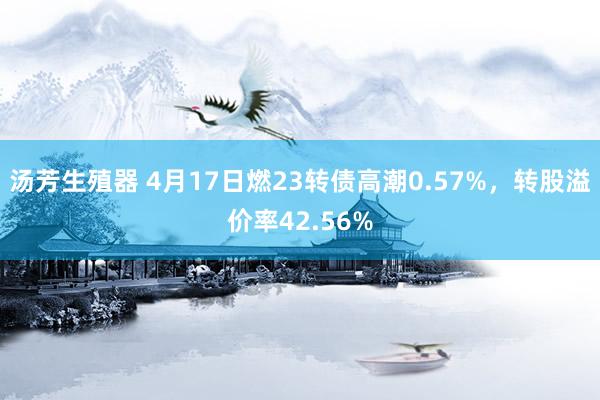 汤芳生殖器 4月17日燃23转债高潮0.57%，转股溢价率42.56%