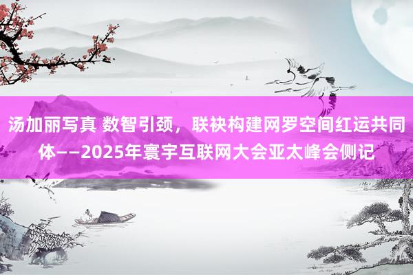 汤加丽写真 数智引颈，联袂构建网罗空间红运共同体——2025年寰宇互联网大会亚太峰会侧记