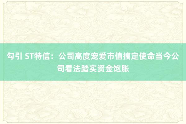 勾引 ST特信：公司高度宠爱市值搞定使命当今公司看法踏实资金饱胀