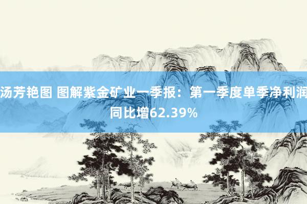 汤芳艳图 图解紫金矿业一季报：第一季度单季净利润同比增62.39%