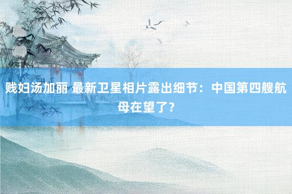 贱妇汤加丽 最新卫星相片露出细节：中国第四艘航母在望了？