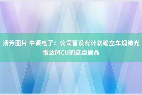 汤芳图片 中颖电子：公司暂没有计划确立车规激光雷达MCU的这类居品