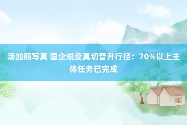 汤加丽写真 国企蜕变真切晋升行径：70%以上主体任务已完成
