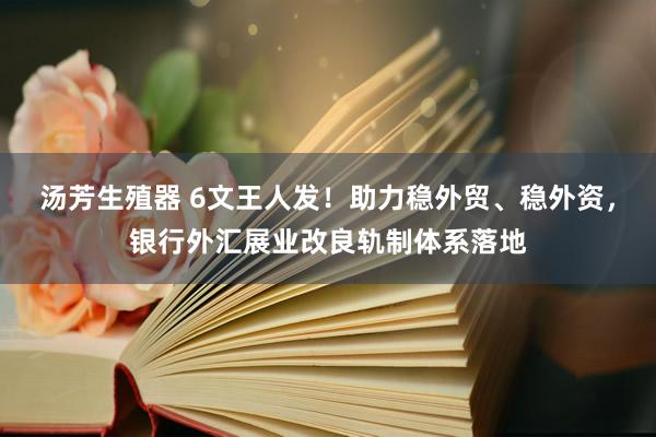 汤芳生殖器 6文王人发！助力稳外贸、稳外资，银行外汇展业改良轨制体系落地