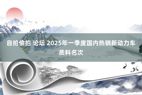 自拍偷拍 论坛 2025年一季度国内热销新动力车质料名次